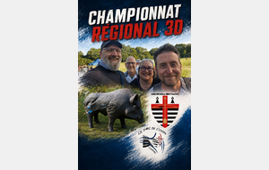 Championnat régional 3D